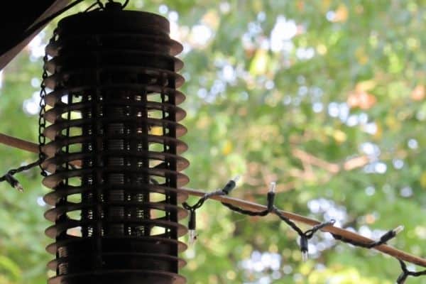 Bug zapper in the backyard