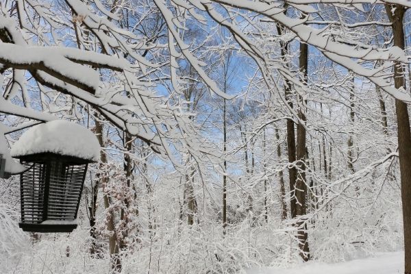 Bug zapper outdoors during winter