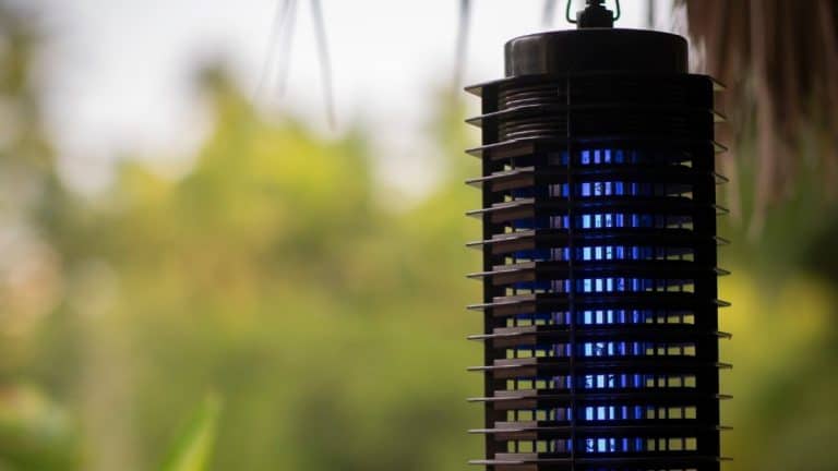 Best Bug Zapper Australia