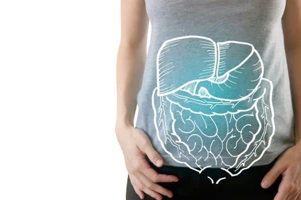 How do probiotics work image