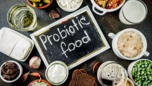 Fermented Foods and Living Bacteria - Why Our Body Needs Probiotics