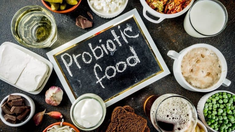 Fermented Foods and Living Bacteria - Why Our Body Needs Probiotics