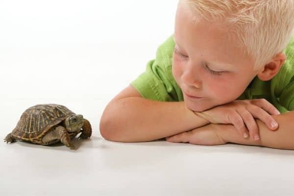Little boy and turtle on white background