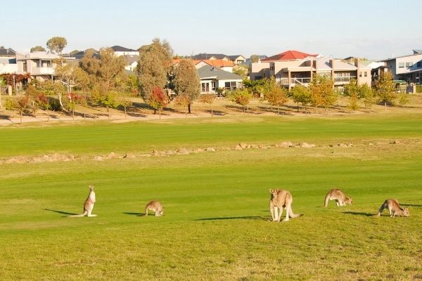 Canberra Australia