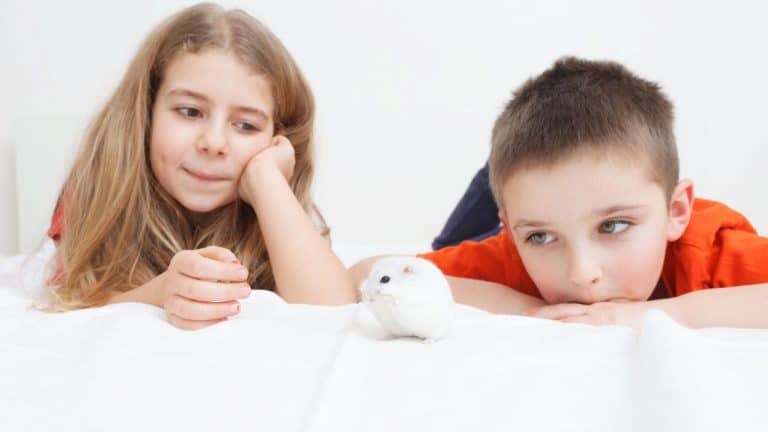 Best Pets for Kids
