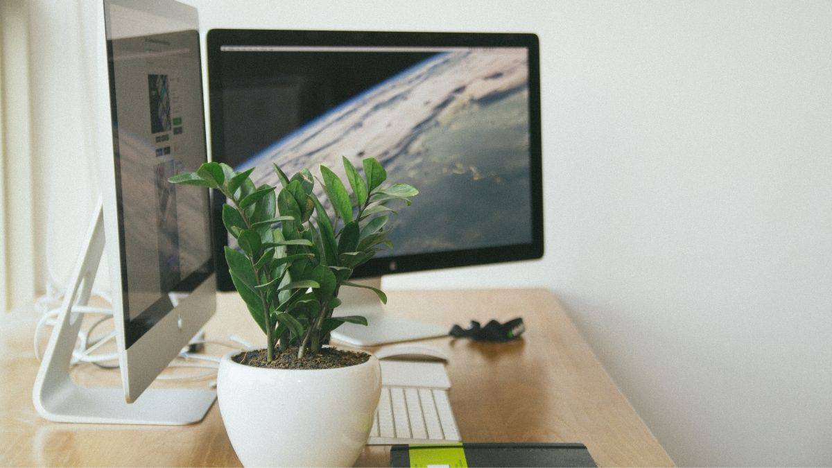 Tips for Gardening in Small Spaces with Artificial Plants