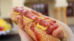 Tasty Hot Dog Recipes That You Might Want to Try