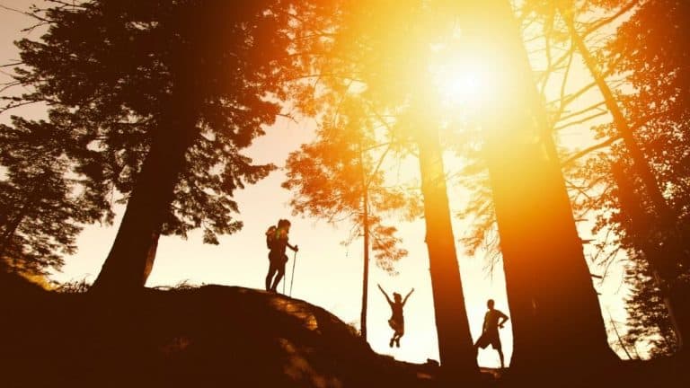 The Essential Gear You Need For Your First Hiking Adventure