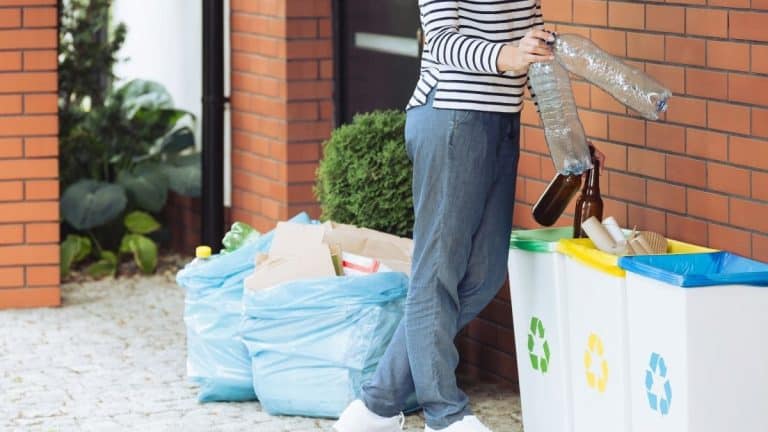 6 Important Things You Need To Know About Waste Management