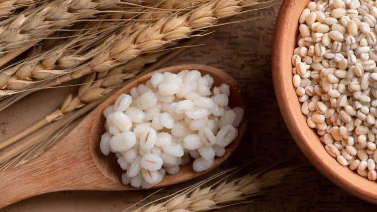 7 Types Of Grains That Should Be Cooked And Handled the Right Way To Be Healthy