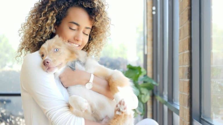 Things To Consider Before Adopting A New Puppy