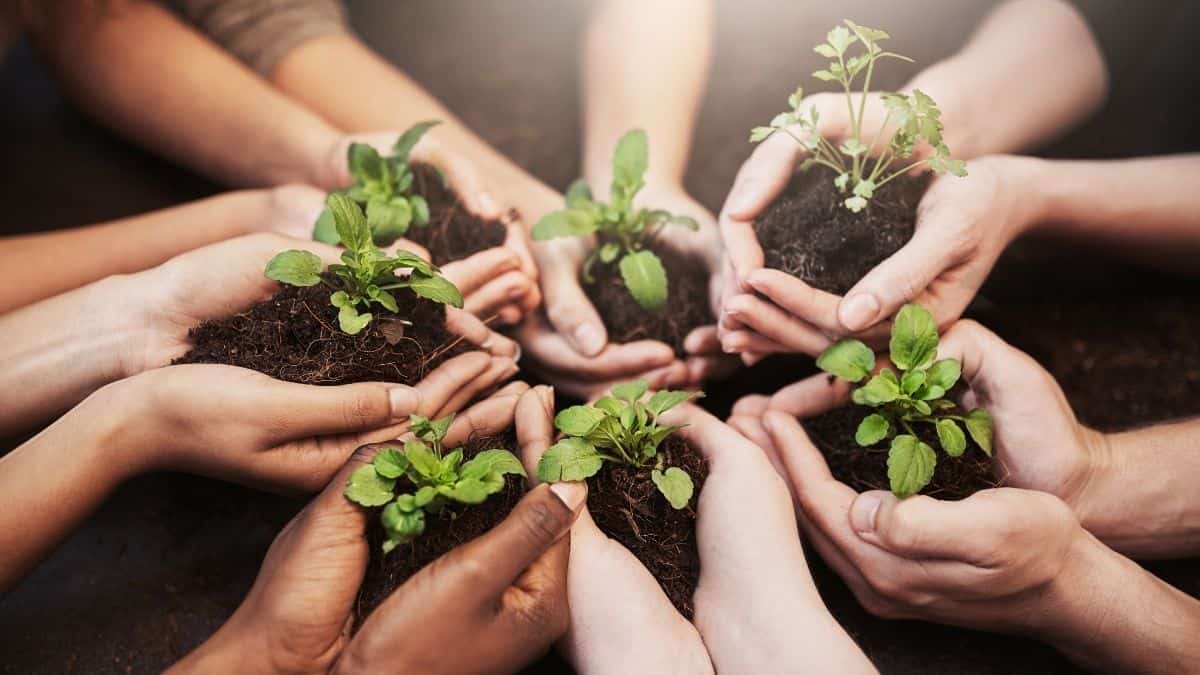 Want to Go Green? Here Are Some Simple Tips From the Experts