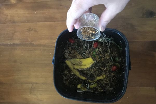 Adding bokashi bran to bokashi bucket to break down food scraps