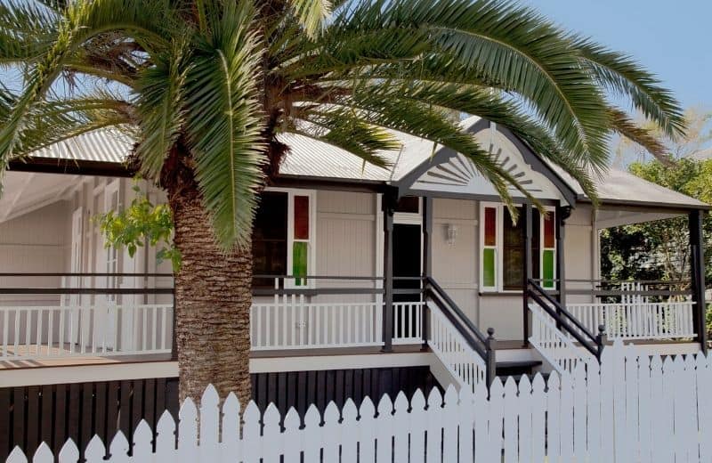 Queenslander with palm tree at the front