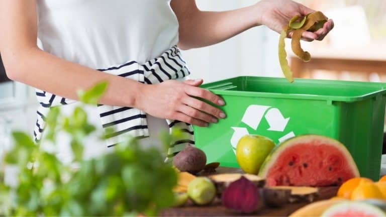 bokashi vs compost pros and cons
