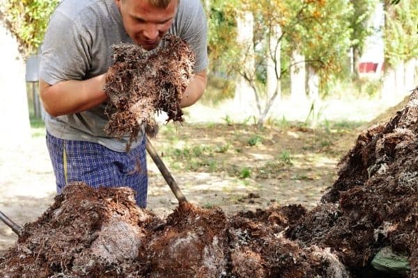 bokashi vs compost smell