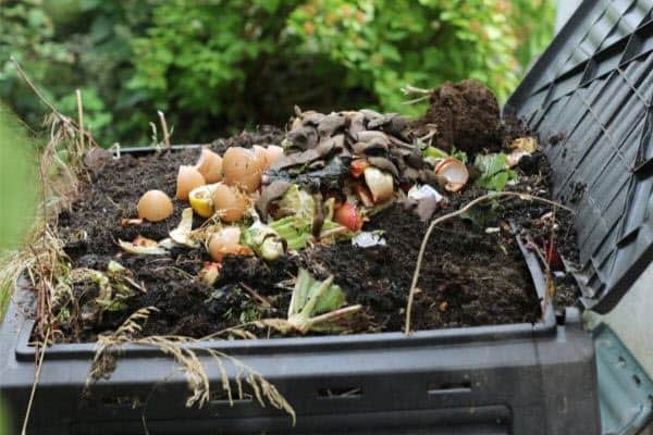 traditional compost - balance between green and brown waste