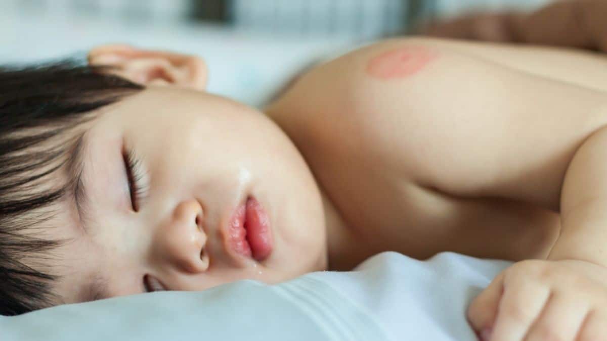 Best Baby Insect Repellent Australia | Five options for a bite-free summer