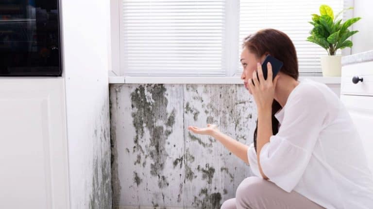 4 Dangers Of Living In A Home With Mould