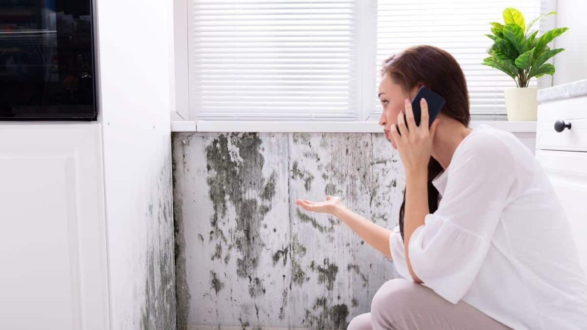 4 Dangers Of Living In A Home With Mould