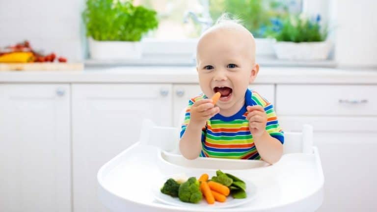 6 Steps to Introducing Your Child to a New Food