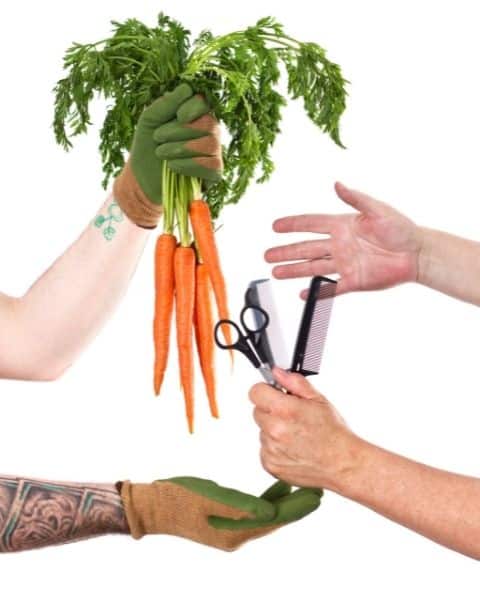 Try bartering to save money