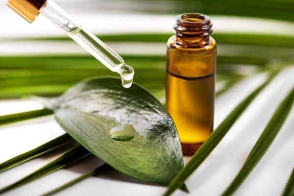 Essential Oil On Leaf