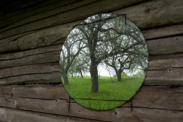 Outdoor Mirror