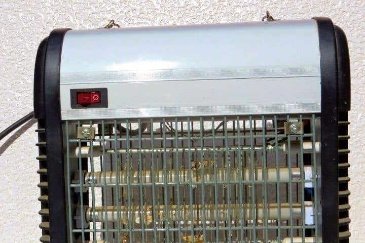 Bug Zapper 2