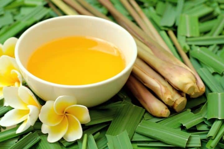 Citronella Oil 