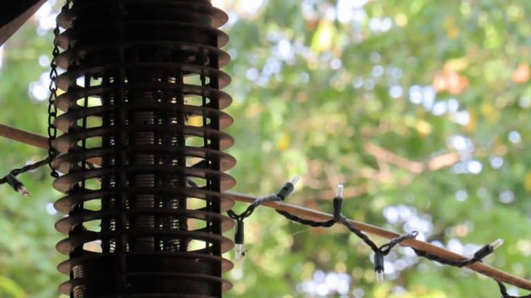 How Much Does A Bug Zapper Hurt