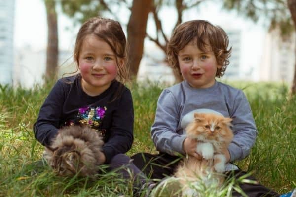 Children With Cats