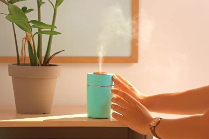 Humidifier On A Table Next To Potted Plant