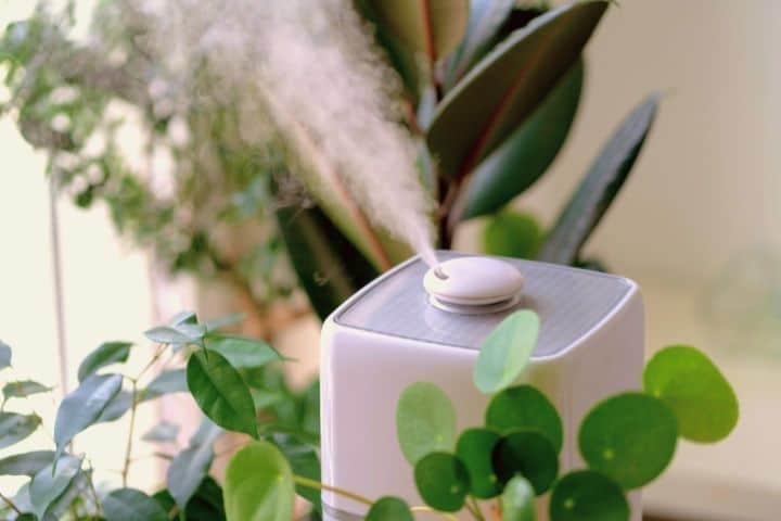 Humidifier Surrounded With Plants