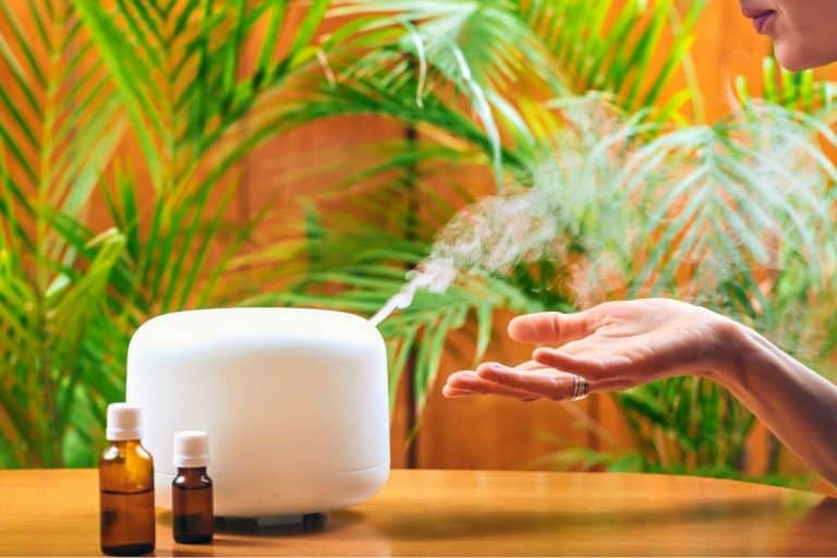 Will A Humidifier Make Things Wet