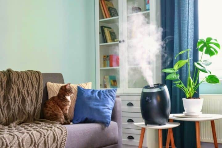 Working Humidifier And A Cat On Couch