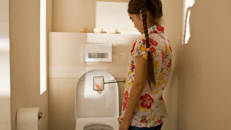 How To Prevent Kids From Flushing Things Down The Toilet