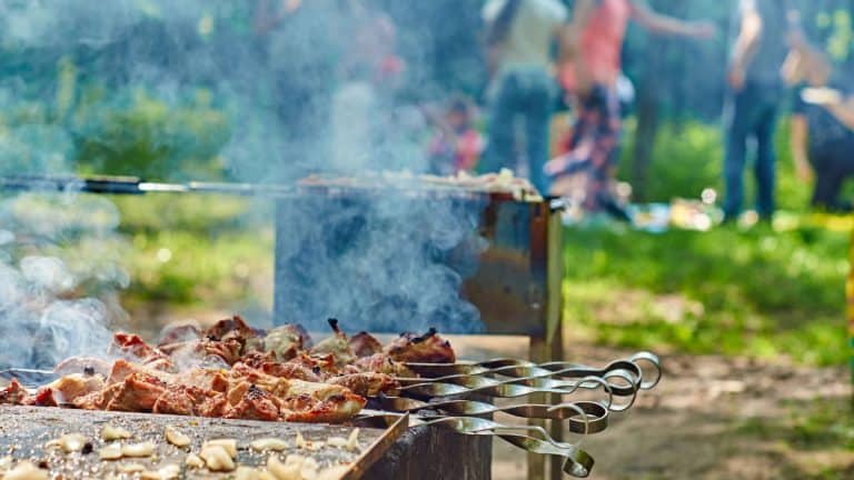 How To Plan An Awesome Outdoor Party For The Family