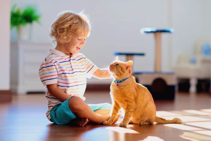 Boy With His Cat