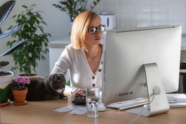 Work From Home Mum