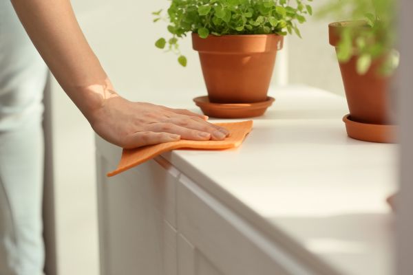 Clean Home Regularly