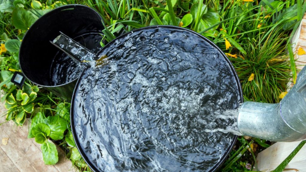 Rainwater Harvest