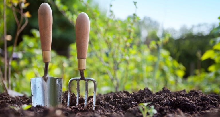 Discovering The Many Healthful Benefits Of Gardening