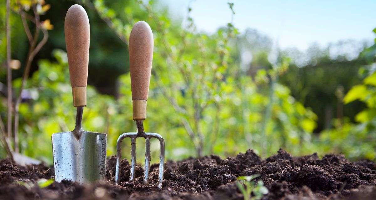 Discovering The Many Healthful Benefits Of Gardening