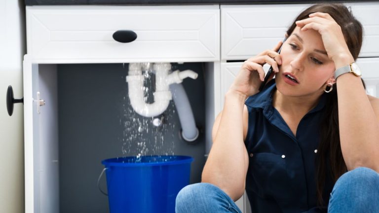 How To Find A Reliable Emergency Plumber In Northern Beaches